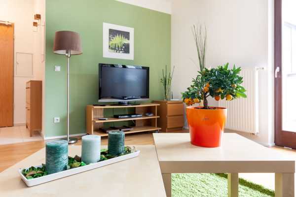 Paualy Ede street apartment for rent Budapest