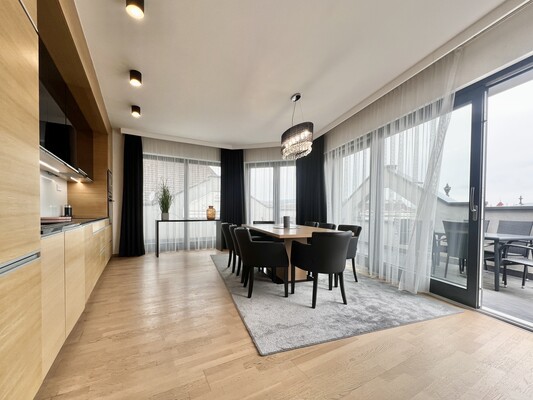 Szemere street terraced penthouse for rent