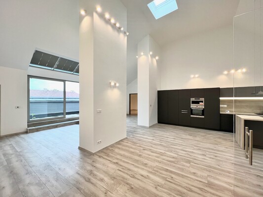 Penthouse for rent
