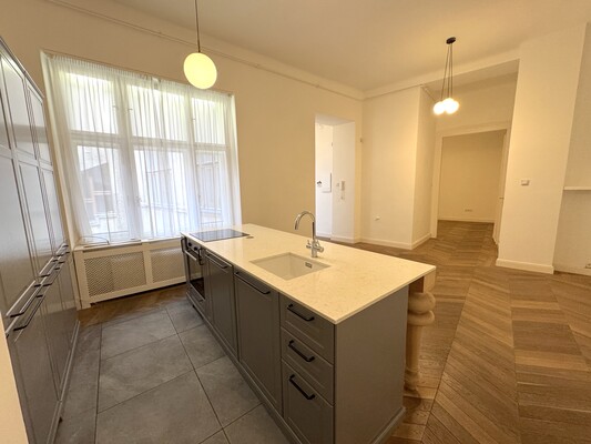 Falk Miksa Apartment