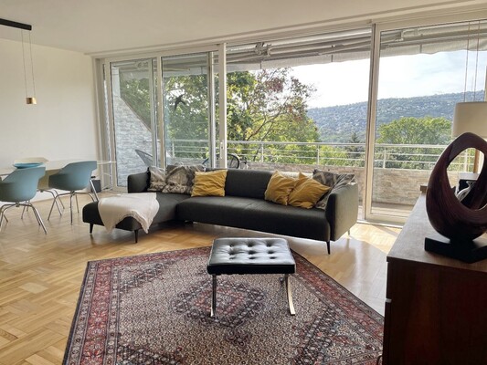 Panoramic View Apartment in Endrődi Street