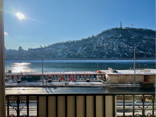 Danube view apartment for sale